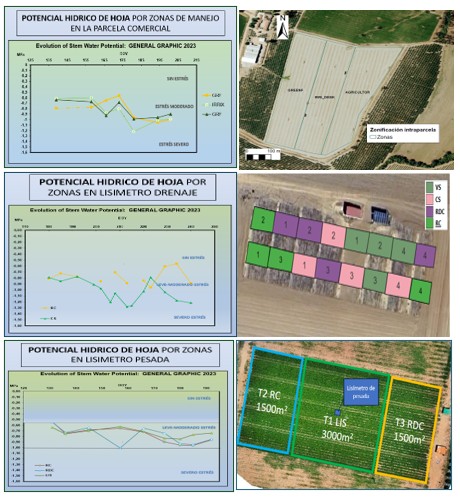 Digispac%20figura%202